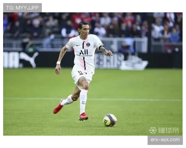 迪马利亚技术全面性 迪马利亚技术全面性